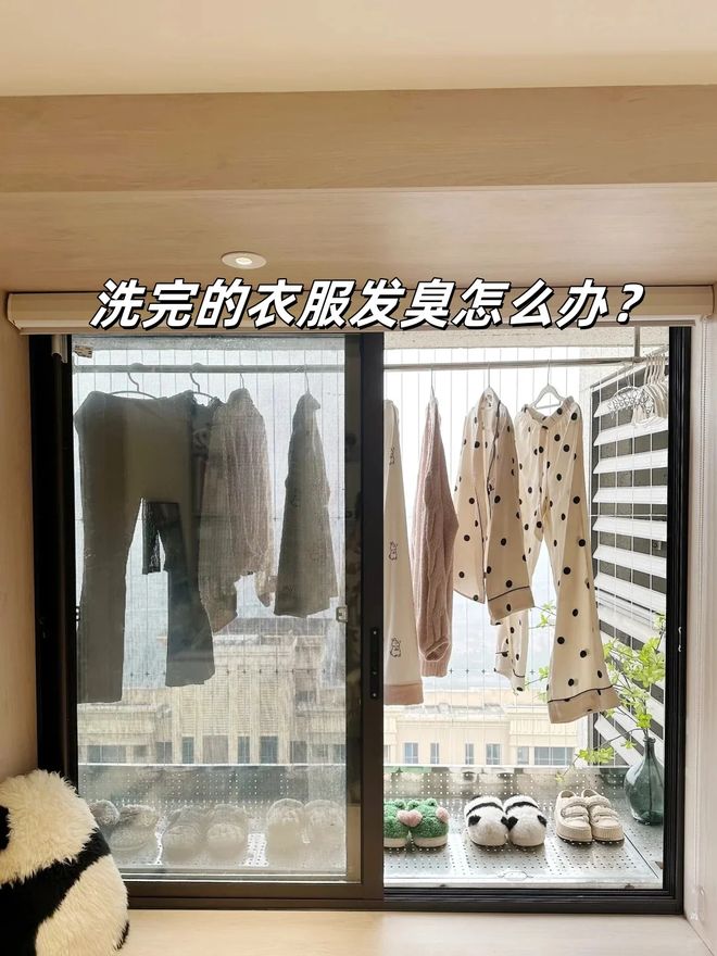 机后我果断换回波轮洗衣机有些话不吐不快尊龙凯时新版APP首页用了1年滚筒洗衣(图2)