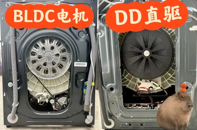 机后我果断换回波轮洗衣机有些话不吐不快尊龙凯时新版APP首页用了1年滚筒洗衣(图7)