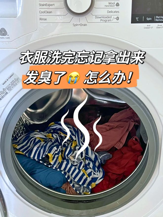 机后我果断换回波轮洗衣机有些话不吐不快尊龙凯时新版APP首页用了1年滚筒洗衣(图13)