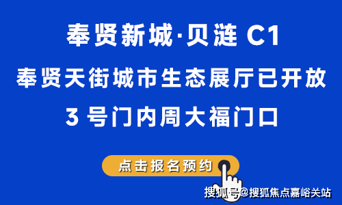 (售楼处电线首页网站-楼盘评测-详情户型配套人生就是搏贝涟C1·上海奉贤·【贝涟C1】(图10)